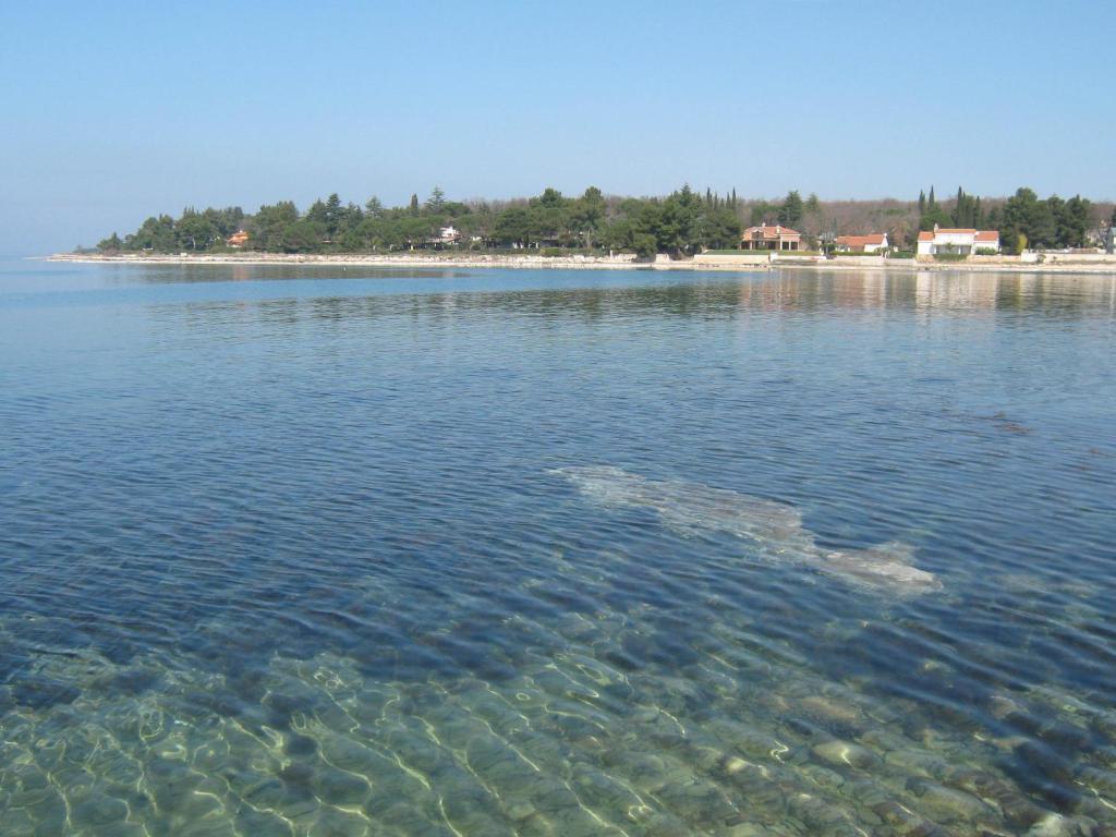 Apartments Spert Umag Exterior photo